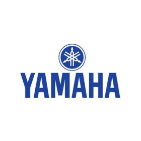 Biellette d'abaissement de suspension pour YAMAHA TTR 250