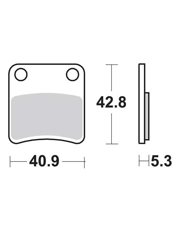 Plaquettes de frein SBS 209HF
