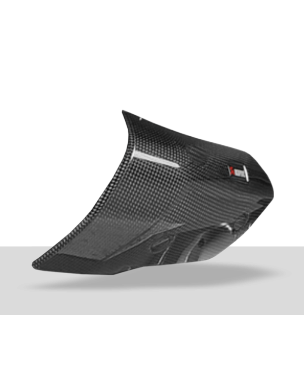 Protection carbone Akrapovic P-HSB10SO2