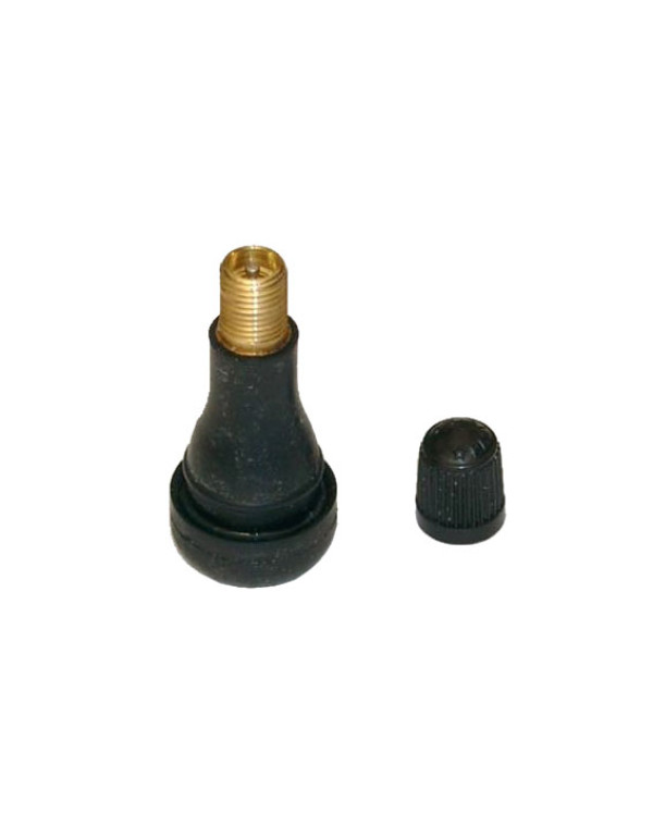 Valve de gonflage tubeless pour montage mousse / tireballs