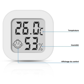 thermomètre intérieur hygromètre