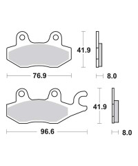 Plaquettes de frein SBS 197/134MS