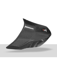 Protection carbone Akrapovic P-HSB10SO2