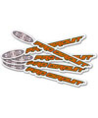 Pack de 5 stickers Pro Circuit